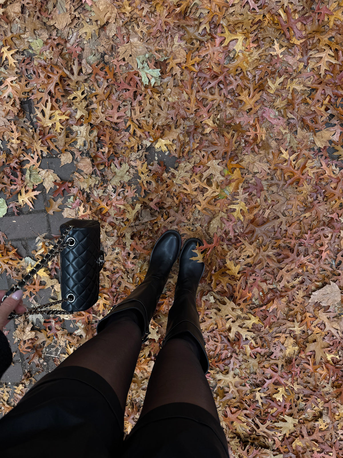 Janice boots